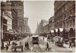 1905c Elizabeth Street