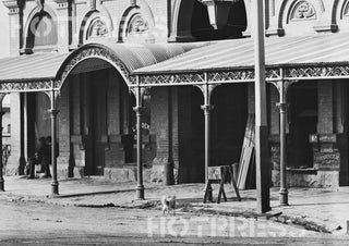 1874 Fish Market