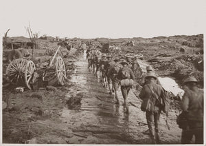 1917 Ypres - Australian Troops