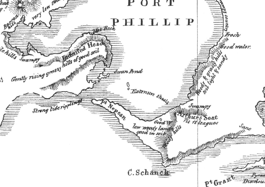 1802 Matthew Flinders Map of Port Phillip