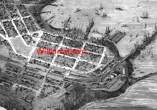 1873 Melbourne and Suburbs - Bird's-Eye View