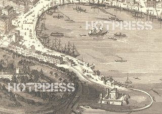 1879 Sydney Birds-eye View